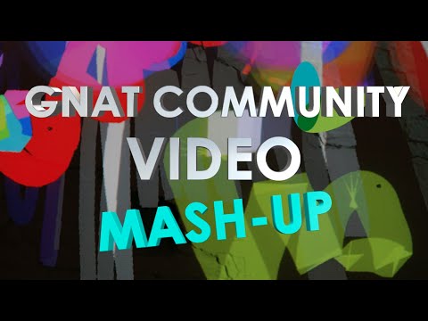 GNAT Community Video Mashup