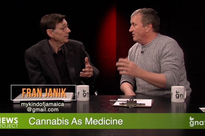 The News Project - Cannabis as Medicine