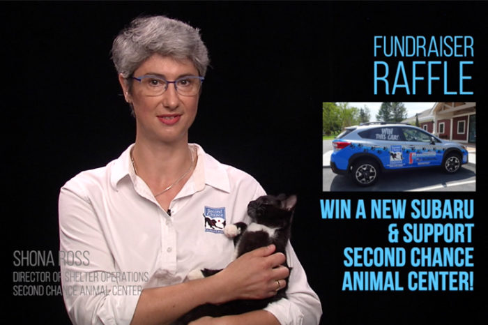 Video Announcement - Second Chance Animal Center Raffles New Car