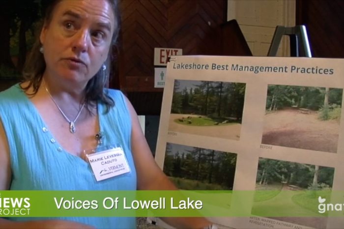 The News Project - Voices Of Lowell Lake