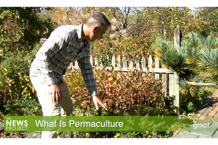 The News Project - What Is Permaculture?