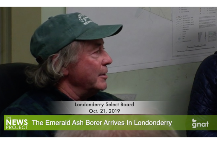 The News Project - The Emerald Ash Borer Arrives In Londonderry