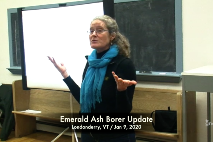 Emerald Ash Borer Update Forum