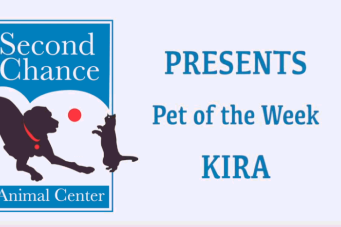Video Announcement – SCAC – Pet of the Week 02.14.20