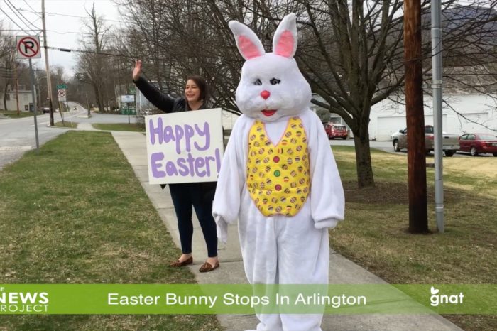 The News Project - Easter Bunny Makes Stop In Arlington