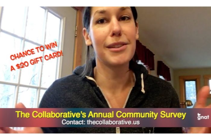 Video Announcement - The Collaborative Survey