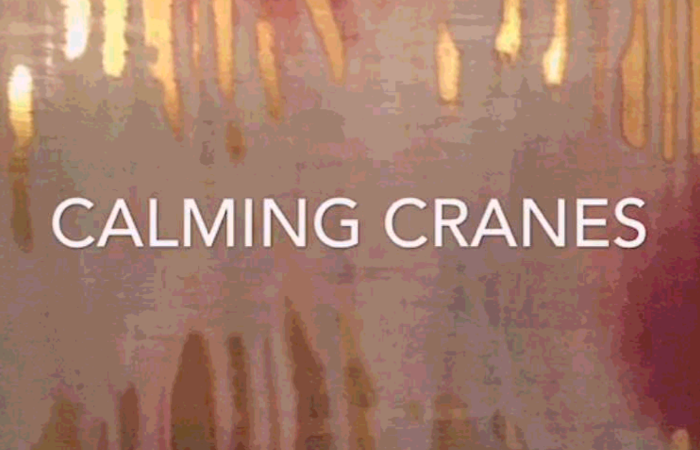 Calming Cranes