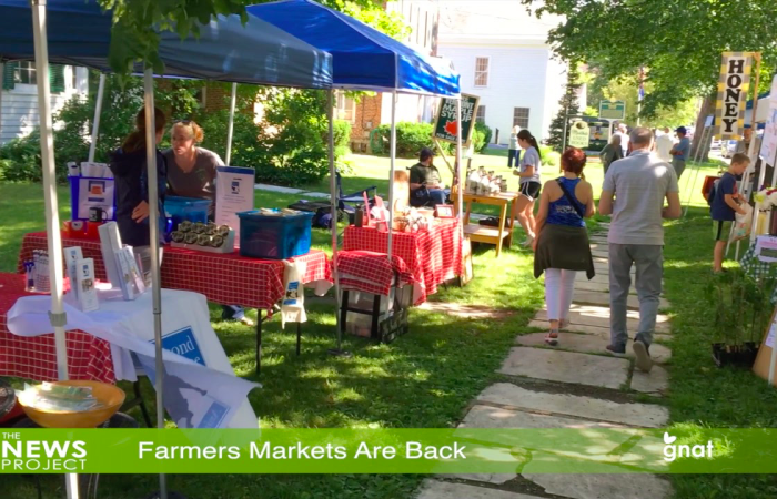The News Project - Farmers Markets Are Back