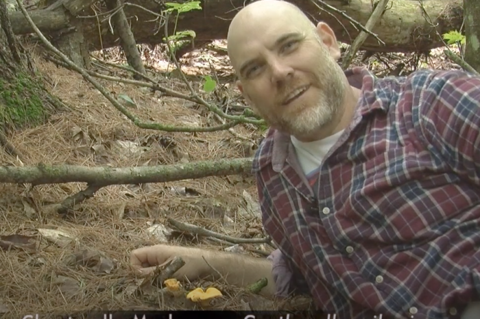 Foraging With Chef Ian Vair - Chanterelles