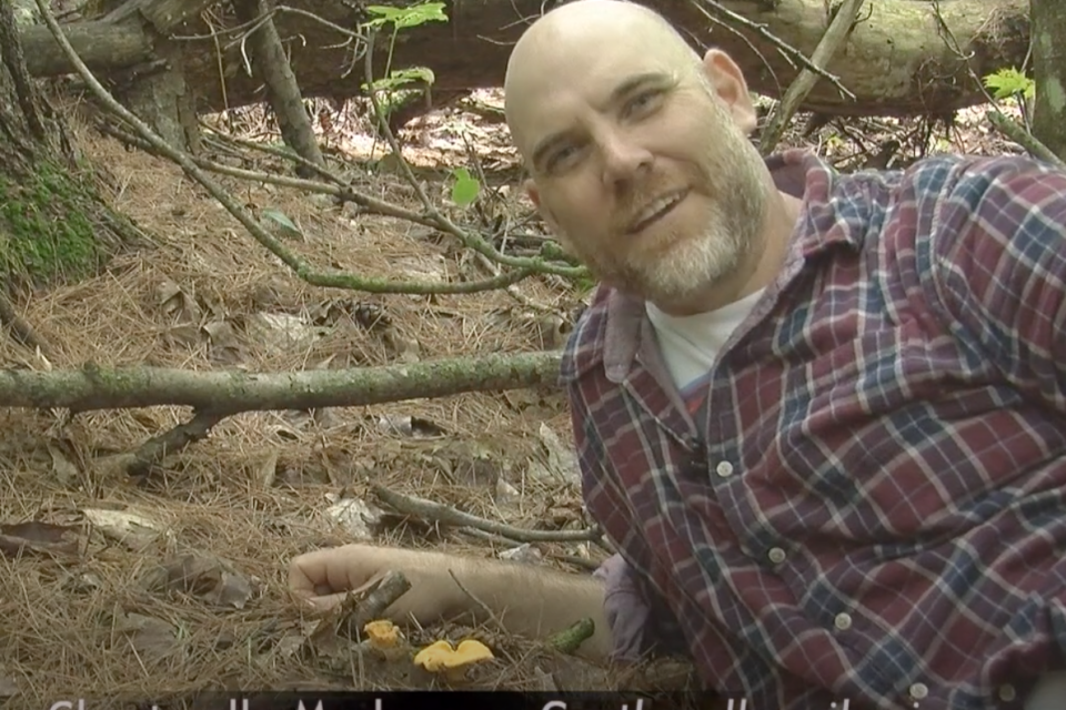 Foraging With Chef Ian Vair - Oyster Mushrooms