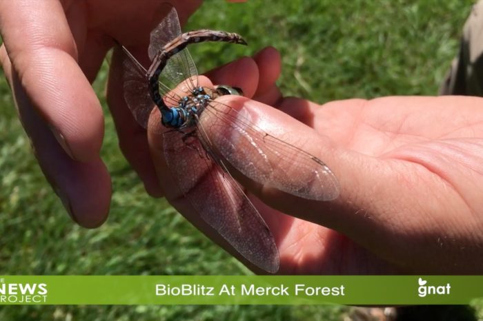 The News Project - BioBlitz At Merck Forest