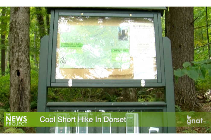 The News Project - Cool Short Hike In Dorset