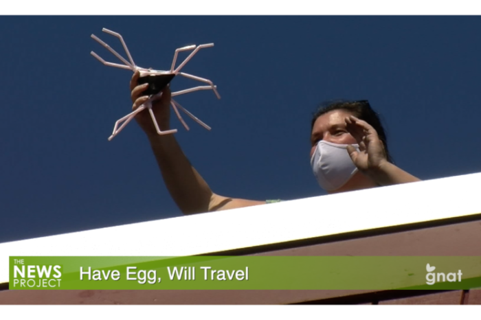 The News Project - Have Egg Will Travel