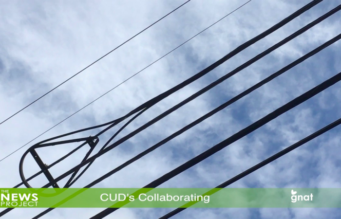The News Project  - CUD's Collaborating