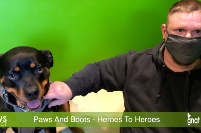 The News Project - Vermont Paws And Boots - Heroes To Heroes