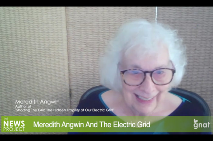 The News Project: In Studio Podcast - Meredith Angwin And The Electric Grid