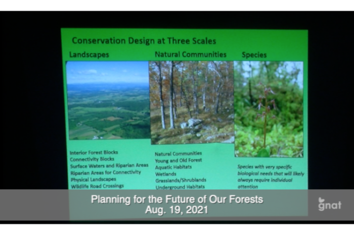 Planning For the Future of Our Forests