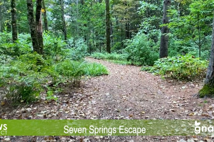 The News Project - Seven Springs Escape