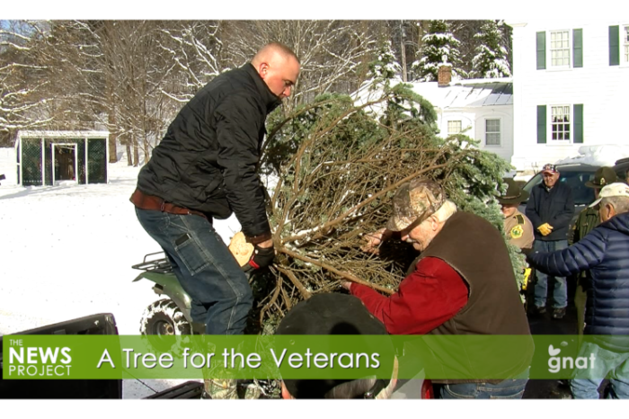 The News Project - A Tree for the Veterans