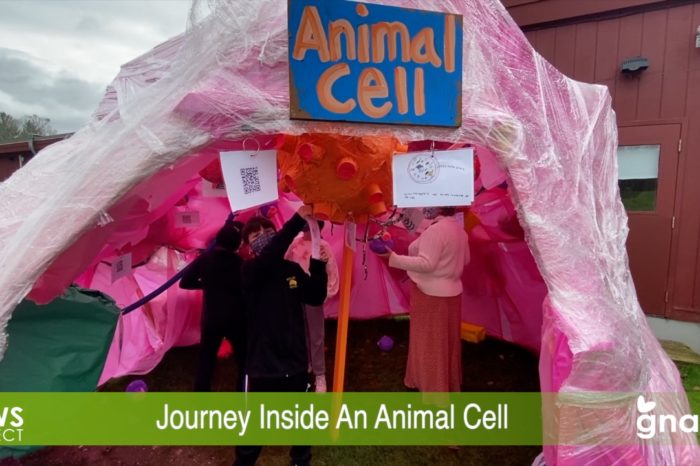 The News Project - Journey Inside An Animal Cell
