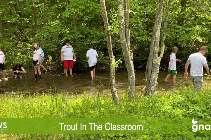 The News Project - Trout In The Classroom