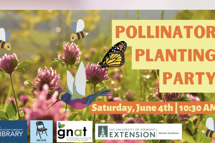 Video Announcement - Pollinator Planting Party