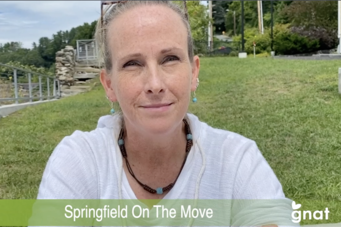 The News Project - Springfield On The Move