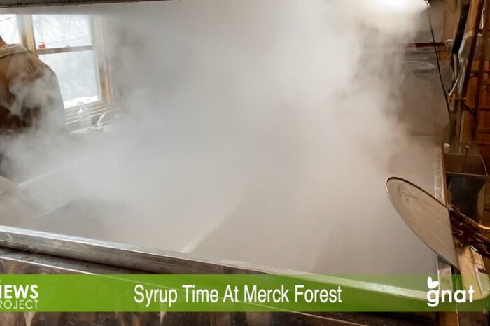 The News Project - Syrup Time At Merck Forest