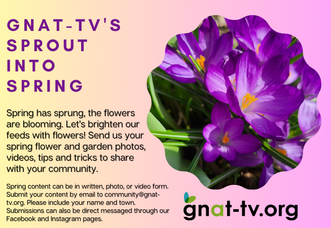 GNAT-TV’s Sprout Into Spring 2023