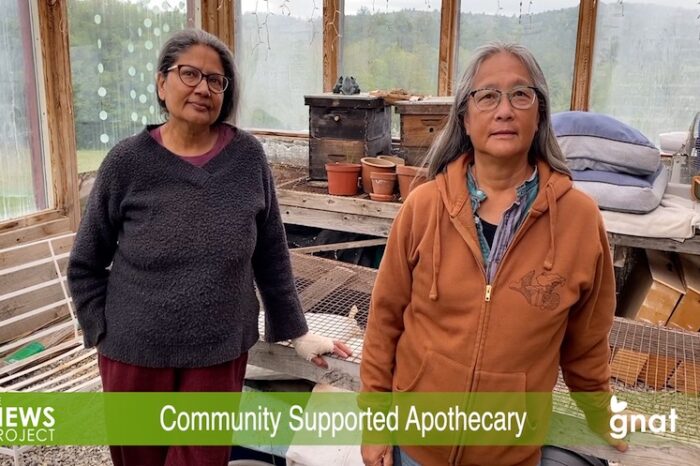The News Project - Community Supported Apothecary