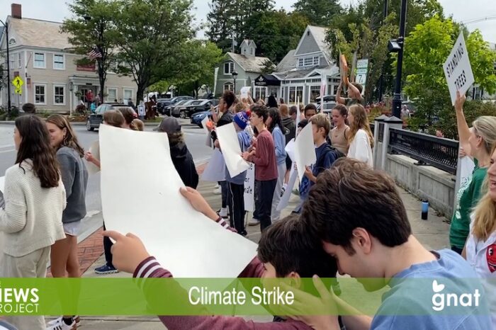The News Project - Climate Strike