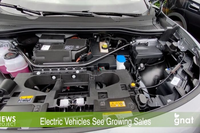 The News Project - Electric Vehicles See Growing Sales