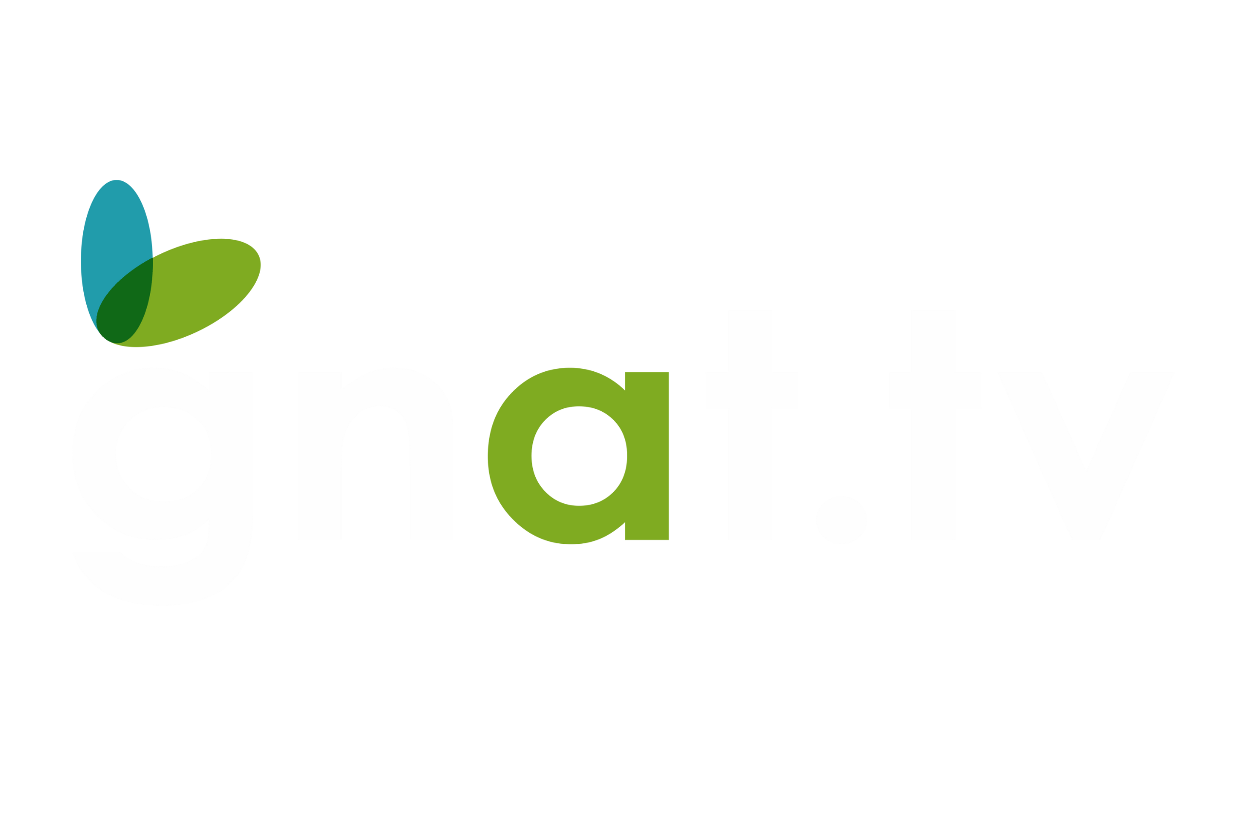 GNAT-TV