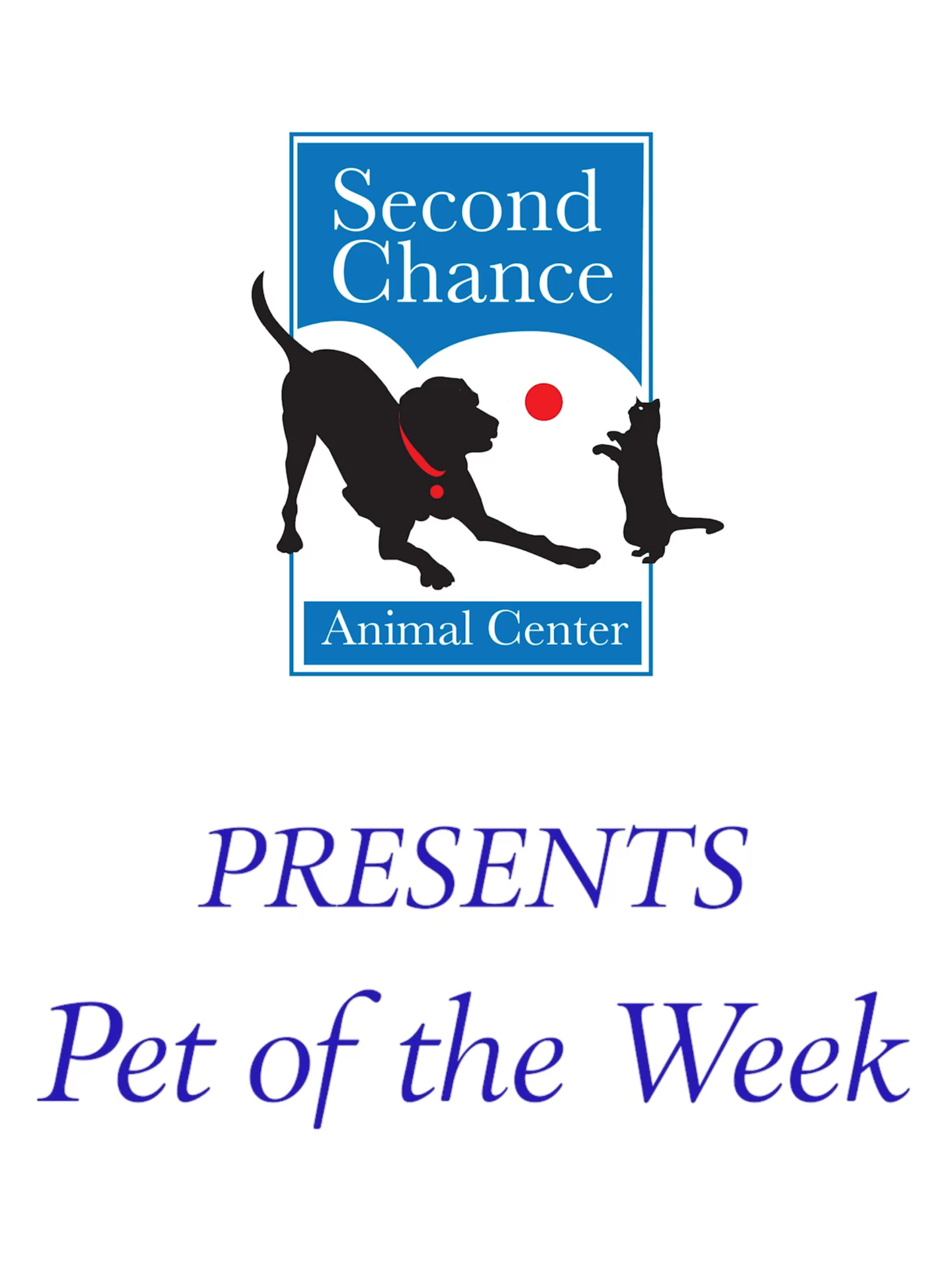 Pet Of The Week