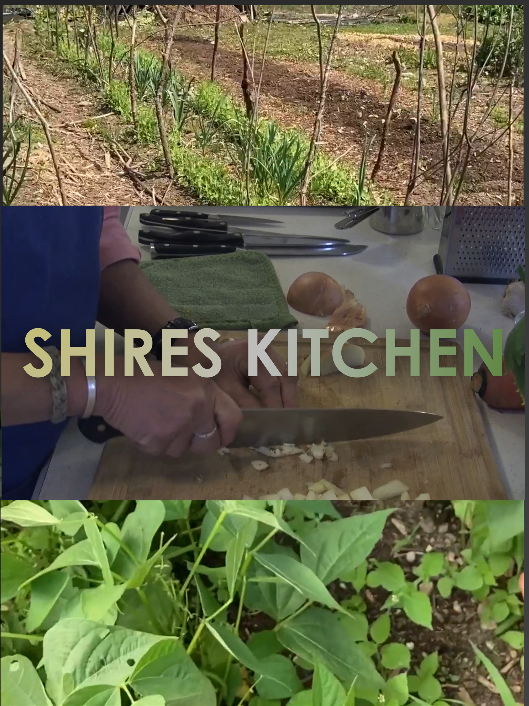 Shires Kitchen