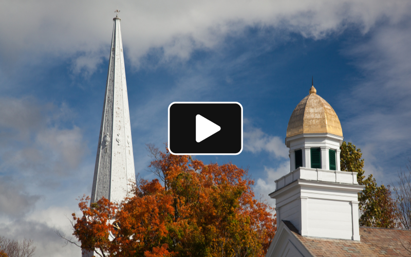 Watch GNAT-TV Government