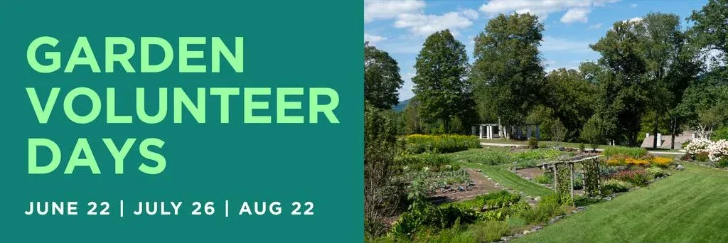 Garden Volunteer Days at Marble House Project